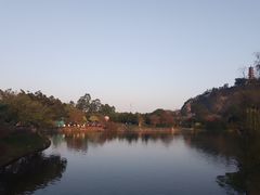 -南沙蒲洲花园