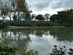 -晓琦农家菜馆·地道农家菜