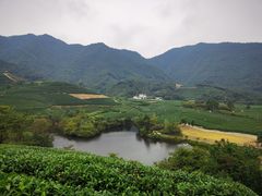 -龙坞茶村