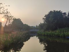 -映月湖公园