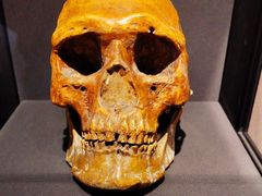 -北京周口店北京人遗址博物馆