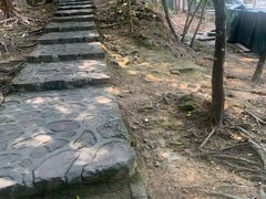 -风云岭森林公园