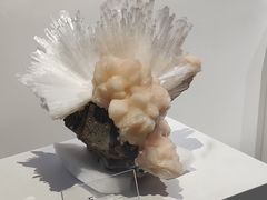 -重庆自然博物馆(新馆)