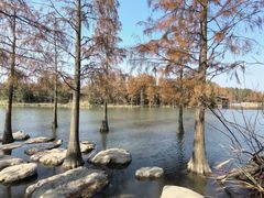 -上海长兴岛郊野公园