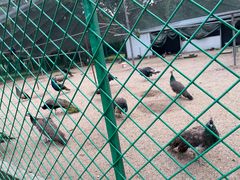 -苏州上方山国家森林公园