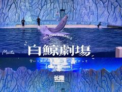 -珠海长隆海洋王国