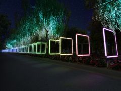 -锦江乐园舞狸花花游园会(夜场专享)