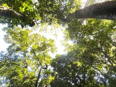 -七仙岭温泉国家森林公园