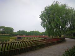 -南翔镇银翔湖公园