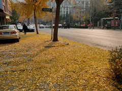 -CoCo都可(西安路民勇店)