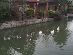 -香山小厨(南联路店)