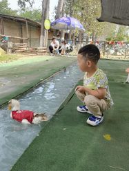 -上美四季动物农场