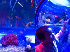 -沈阳海洋探索中心