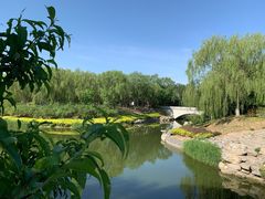 -大兴滨河森林公园