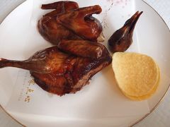 金牌妙龄乳鸽-铭家点心(秦岭路店)
