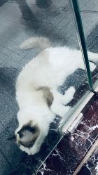 -元一肌肤管理中心