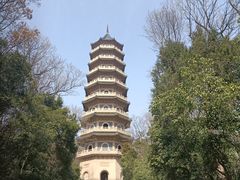 -灵谷景区