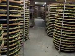 -文雅轩茶叶(锦和越界田林坊店)