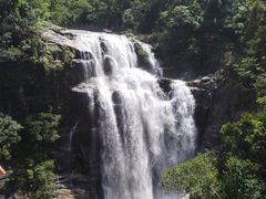 -海南热带雨林国家公园吊罗山景区