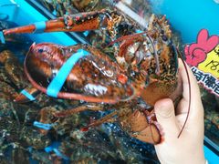 -港畔赶海蒸汽海鲜烧烤自助(仙螺岛店)