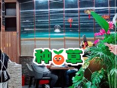 -源·新派中西餐厅(青蓝山美食一条街店)