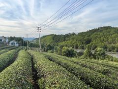 -双门农庄(南源岭店)