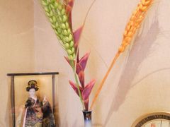 -红叶日料·放题·海胆·定食(星海店)