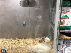 -狗道宠物(常熟印象城店)