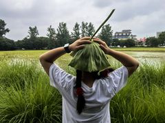 -嘉北郊野公园