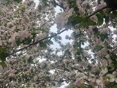 -元大都城垣遗址公园