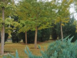 -大望京儿童游乐场