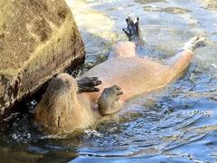 -哈尔滨北方森林动物园