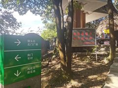 -火炉山森林公园