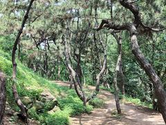 -贮水山儿童公园