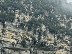 -大新明仕山庄