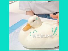 -RU DUCK柯尔鸭公社·撸鸭俱乐部·羊驼·小香猪