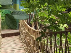 -呀路古热带植物园