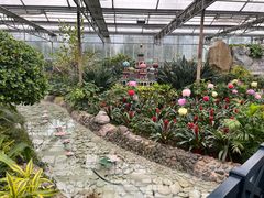 -南宫五洲植物乐园