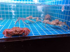 大堂-NIUNIUPARK和牛螃蟹(龙湖杭州滨江天街店)