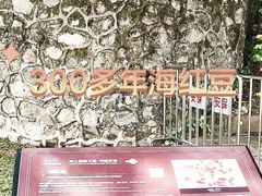 -南海神庙