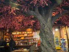 -张关合渣(朱家坳店)