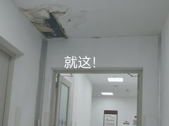 -上海中医药大学附属曙光医院(东部)