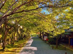 -三千院