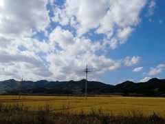 -天女山森林公园