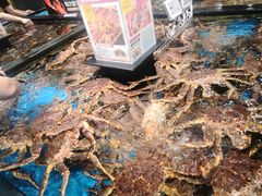 -盒马鲜生(皇庭广场店)
