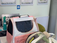 -艾吉宠物医院·疑难杂症转诊中心·猫友好(碧江路院)