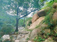 -北京凤凰岭