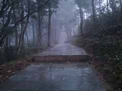 -梧桐山风景名胜区