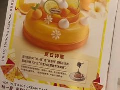 柚子蛋糕冰淇淋-哈根达斯(深圳海岸城店)
