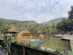 -西双版纳原始森林公园